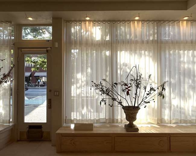 A vase with branches is positioned on a wooden ledge, illuminated by soft light filtering through sheer curtains in a room facing a street.