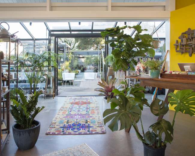 The image shows a bright, spacious shop with plants, colorful decor, and a view of an outdoor garden area through large glass doors.
