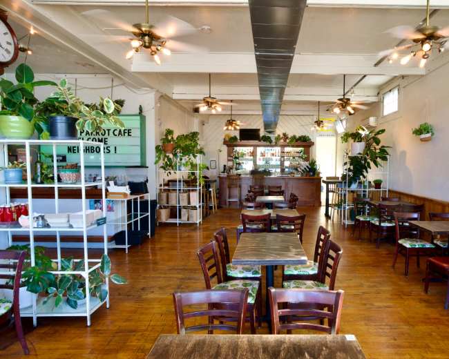 The image shows a spacious café interior with wooden tables and chairs, greenery throughout, and a counter at the back.