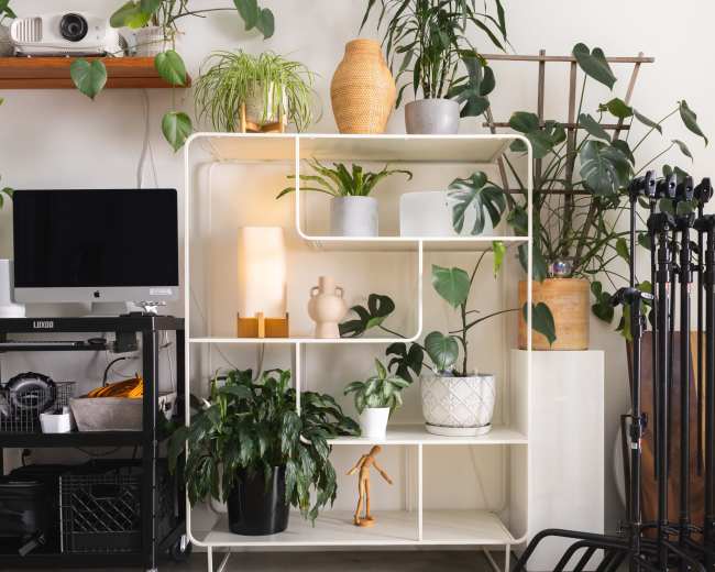 The image features a modern white shelving unit filled with various potted plants, set against a light-colored wall, alongside a cart with a monitor and tripod stands.