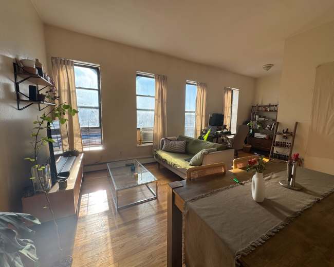The image shows a bright, sparsely furnished living room with large windows, a green couch, a wooden table, and plants.