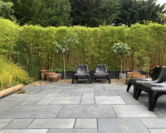 The image shows a stone-paved patio with two black chairs set against a backdrop of tall green hedges and potted plants.