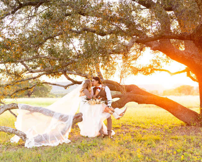 A bride and groom sit on a tree branch in a sunlit field, sharing a moment of affection.