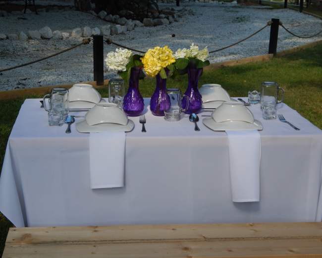 A neatly arranged outdoor dining table is set with white plates, silverware, and purple vases filled with flowers.
