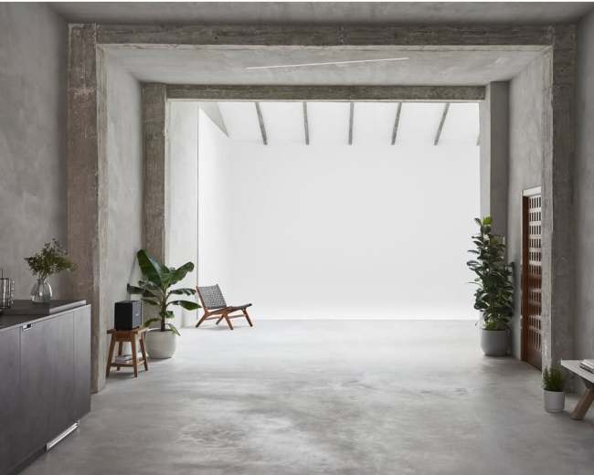 The image shows a minimalist interior space with concrete walls, wooden ceiling beams, and two potted plants beside a wooden chair, creating an open and spacious atmosphere.