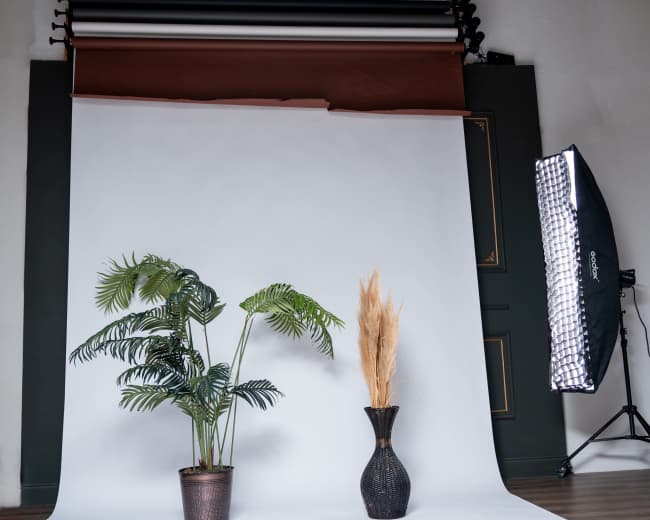 A photography studio features a plain white backdrop with a potted palm plant on the left and a decorative vase with dried pampas grass on the right, illuminated by a softbox light.
