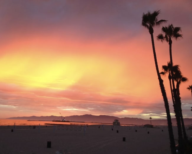 A beach scene features palm trees silhouetted against a vibrant orange and pink sunset sky, with the ocean and distant mountains in the background.