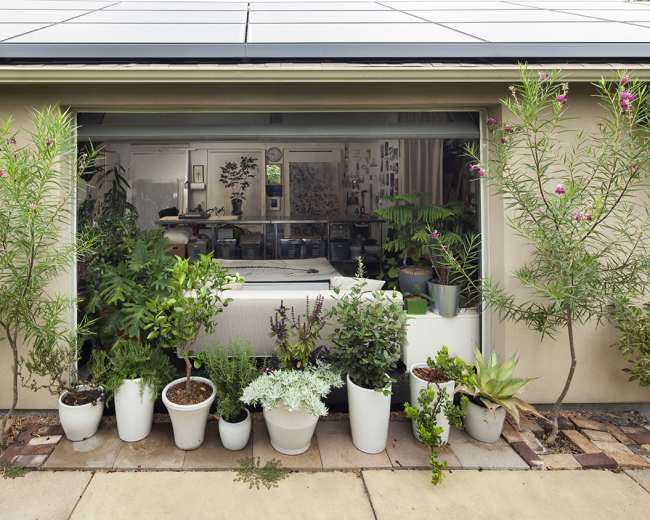 The image depicts a house with a large window framed by various potted plants, showcasing a green indoor environment and a glimpse of an organized interior.
