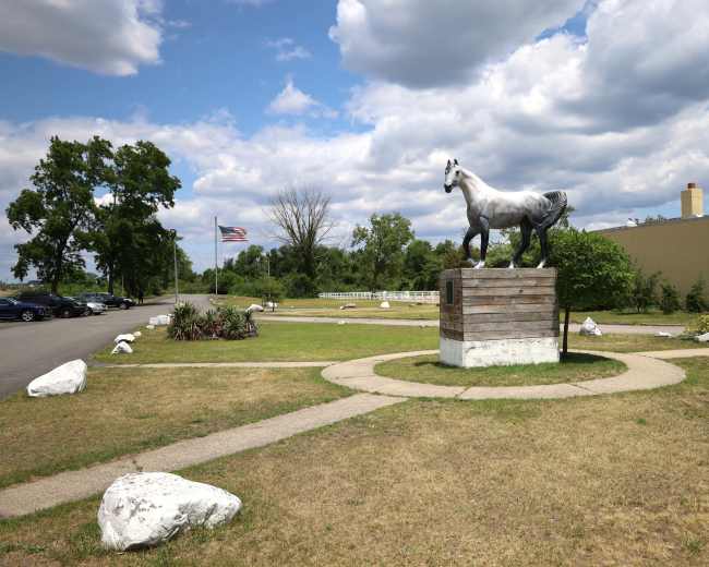 A statue of a horse stands on a pedestal in a grassy area next to a parking lot, with an American flag visible in the background.