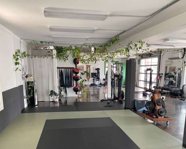 The image shows a spacious gym interior with exercise mats, fitness equipment, and hanging plants.
