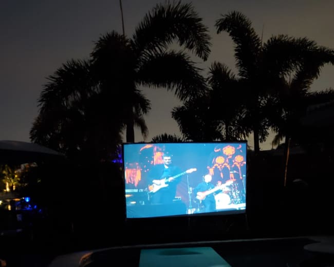 A large projection screen displays a live performance by a band, reflected in the calm water of a swimming pool surrounded by palm trees.