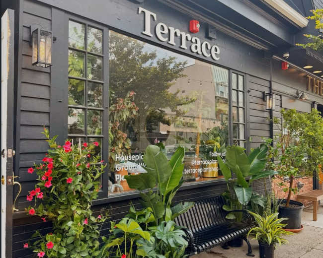 The image shows a storefront marked "Terrace," with large windows displaying greenery and potted plants along a bench outside.