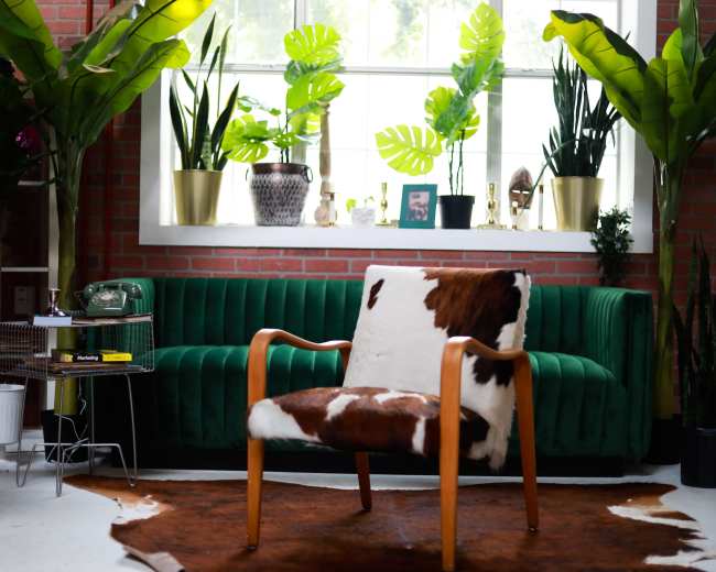 A wooden chair covered with cowhide is placed on a brown rug in a room featuring a green velvet sofa and large potted plants by a window.
