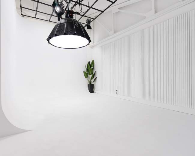 The image shows a spacious, well-lit photography studio with a large overhead light and a potted plant in one corner.