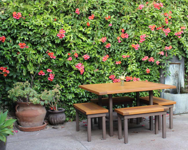A wooden table with benches is set against a backdrop of vibrant green foliage and blooming flowers.