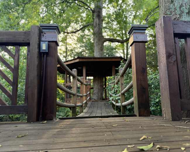The image shows a wooden walkway leading to a gazebo, surrounded by greenery and trees.