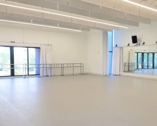 The image shows a bright, empty dance studio with large mirrors, ballet bars, and windows overlooking a green landscape.