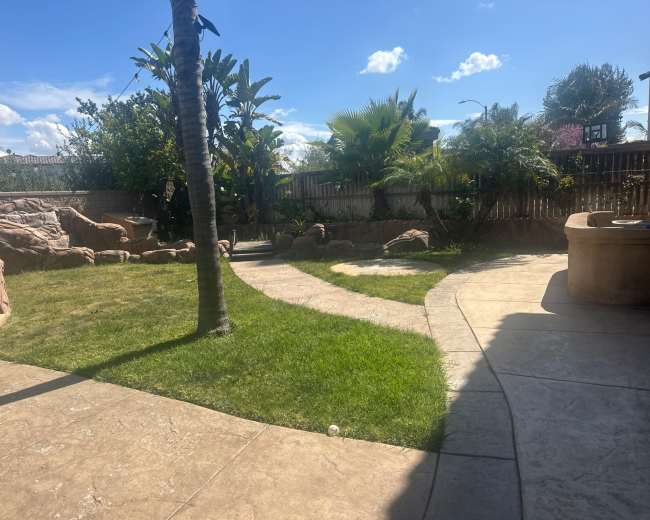 The image shows a landscaped backyard featuring a grassy area, stone pathways, and various tropical plants under a clear blue sky.