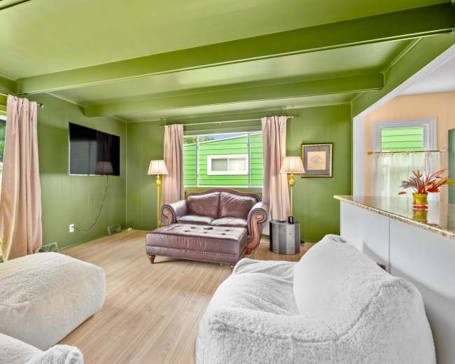 The room features green walls, a leather couch, two white armchairs, and a large window with natural light.