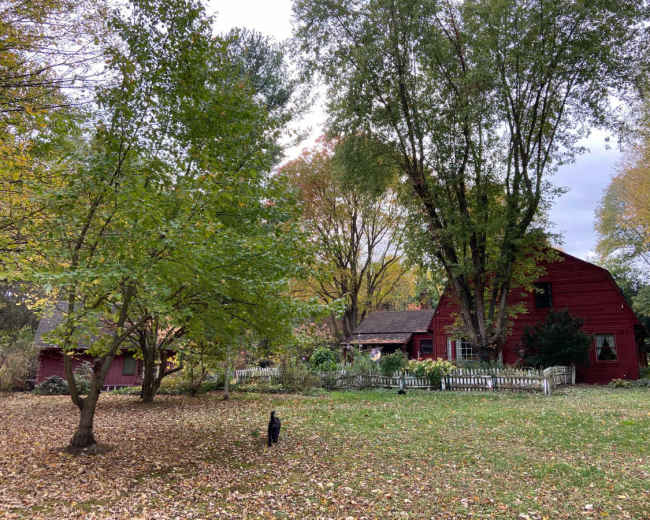 A red barn-style house surrounded by trees and fallen leaves in an autumn landscape.