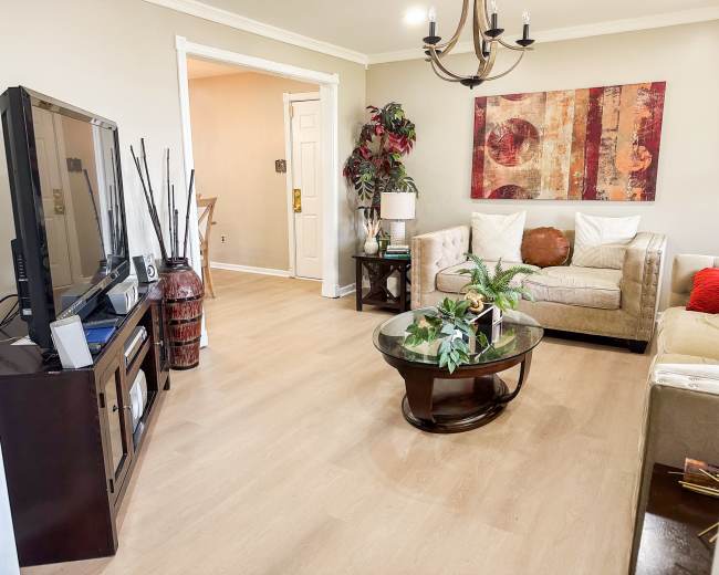 The image shows a living room with a television, a coffee table with plants, and two sofas arranged around the space.