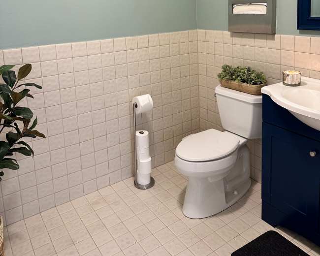 The image shows a small bathroom with light blue walls, tiled flooring, a white toilet, a small vanity with a mirror, and a potted plant in the corner.