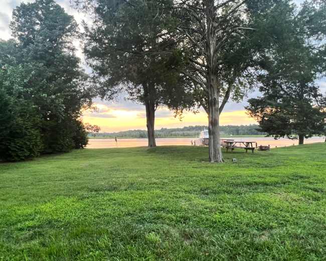 A grassy area with two trees and a view of a lake at sunset, featuring a boat docked near the shore.