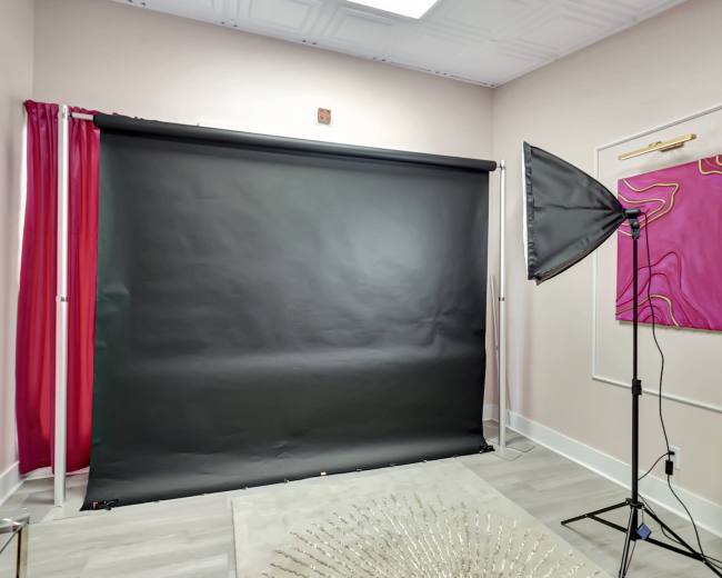 A photography setup featuring a black backdrop, a softbox light, and a decorative wall with pink accents in a well-lit room.