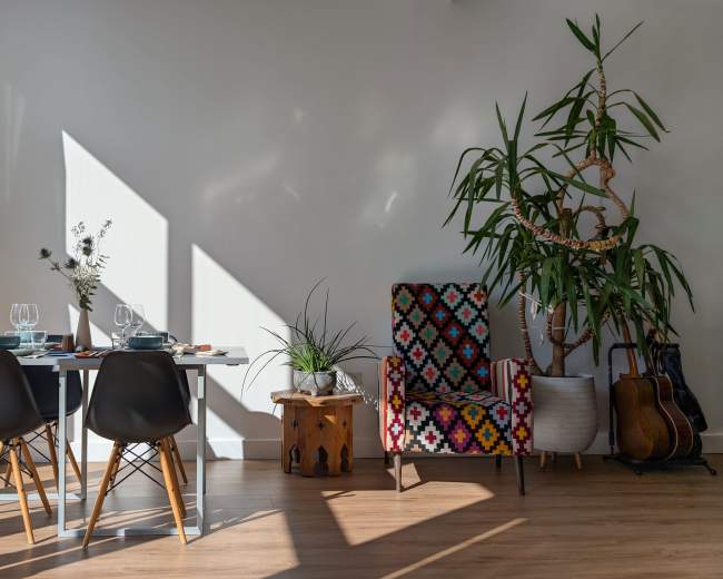 A dining area features a table set for two with a telescope nearby, a colorful chair, a potted plant, and sunlight casting shadows across the wall.