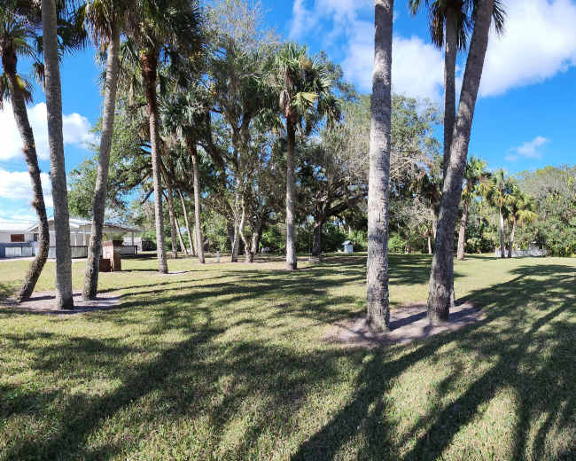 A grassy area surrounded by palm trees features two buildings in the distance under a clear blue sky.