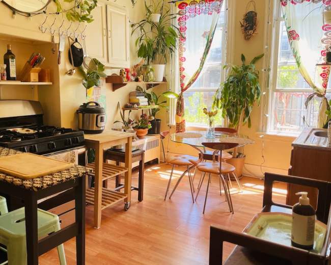 The image shows a bright kitchen with a gas stove, countertop, table with chairs, and various plants adorning the space.