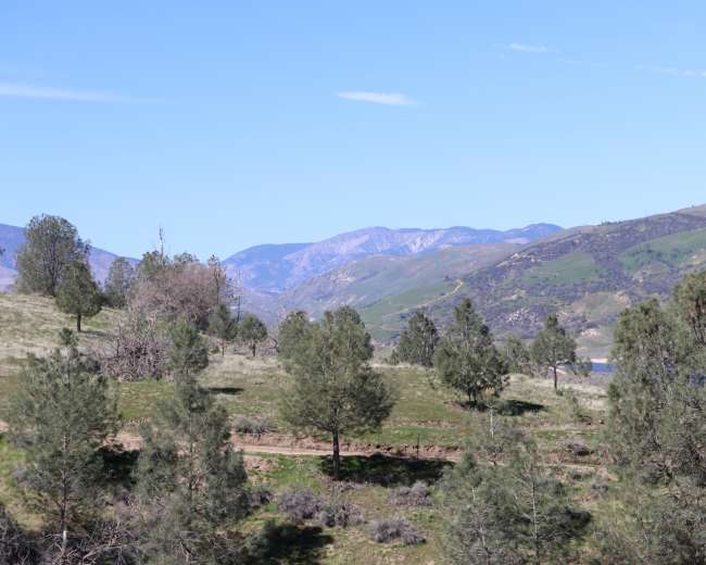 The image shows a landscape with rolling hills, scattered trees, and a clear blue sky.