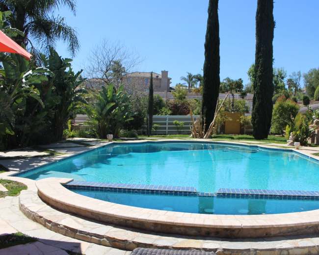 A clear blue swimming pool is surrounded by tropical plants and tall cypress trees in a sunny backyard.