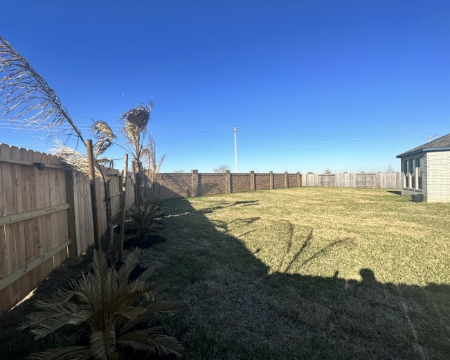 A fenced backyard features a grassy area with scattered palm-like plants and a clear blue sky in the background.