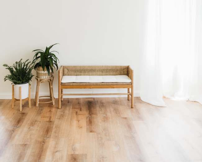 A minimalist room features a woven bench with a white cushion, a potted plant on a stand, and natural light filtering through sheer curtains.