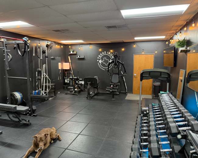 The image shows a gym interior featuring various exercise equipment, including weightlifting machines and cardio machines, with a brown dog resting on the floor.