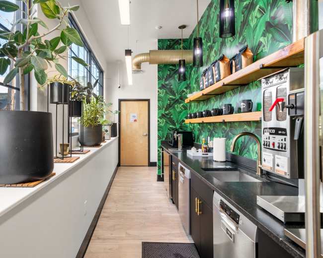 The image shows a modern kitchen with a tropical-themed wall, featuring plants, countertops with appliances, and an organized shelf displaying coffee mugs and utensils.