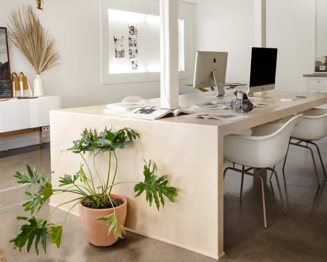 A modern office space features a large wooden table, two computers, and a potted plant, with minimalistic decor and polished concrete flooring.