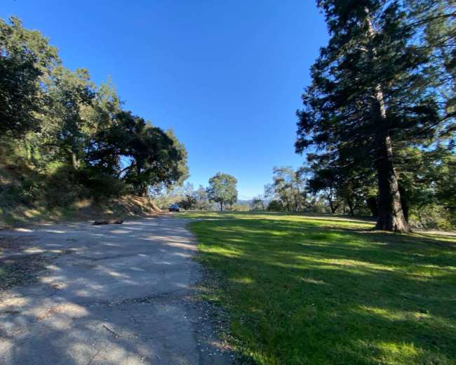 A wide, grassy area next to a partially paved path, with trees lining both sides under a clear blue sky.