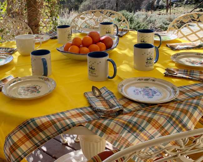 A set outdoor dining table is arranged with blue and white mugs, plates, and a bowl of oranges, surrounded by greenery under a clear sky.