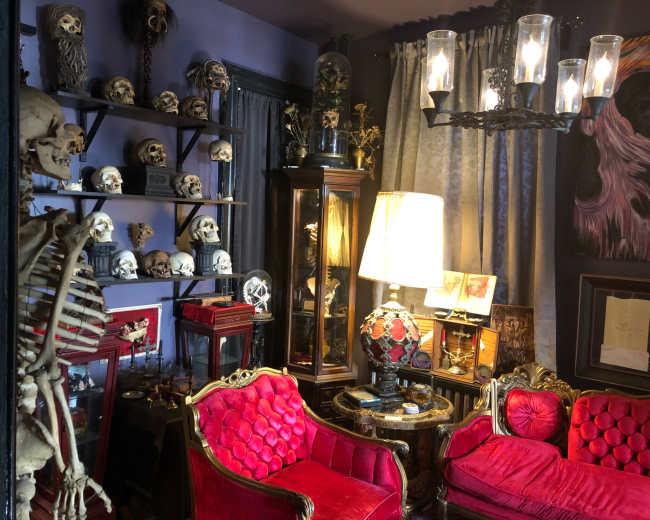 The room features antique furniture, shelves lined with skulls, and a chandelier illuminating various ornate decorations.