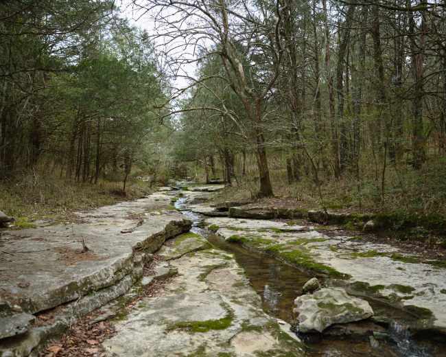 The image shows a shallow stream winding through a rocky, forested area with trees lining either side.