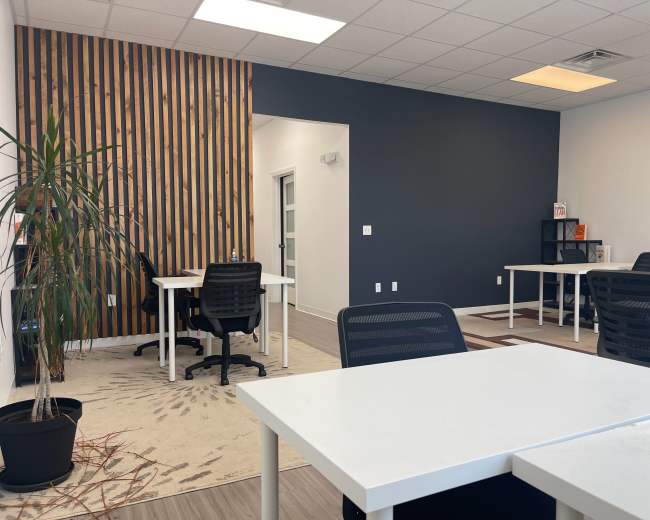 A spacious office with white tables and black chairs, featuring a wooden accent wall and a potted plant in the corner.