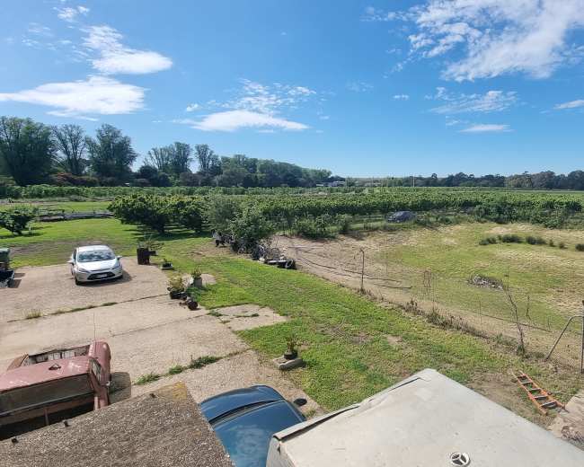 The image shows a rural landscape featuring a field with rows of trees, a grassy area, and parked vehicles, all under a blue sky with scattered clouds.