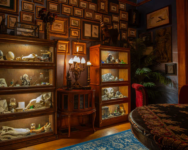 The image shows a warmly lit room featuring glass display cabinets filled with various artifacts, specimens, and decorative objects, set against a wall adorned with framed pictures.