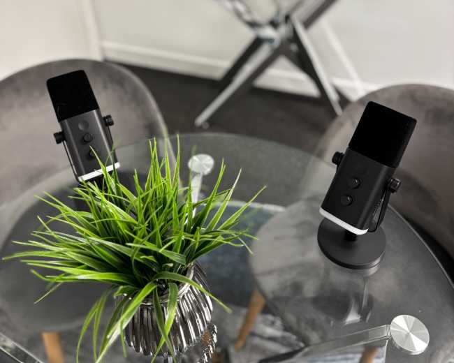 The image shows a modern interior with a glass table featuring a decorative plant and two microphones on stands, alongside stylish decor items on a mirrored surface.