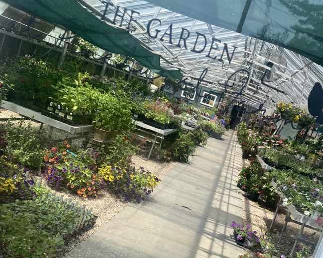 The image shows a greenhouse filled with various plants and flowers, with a central pathway leading through the vibrant displays.