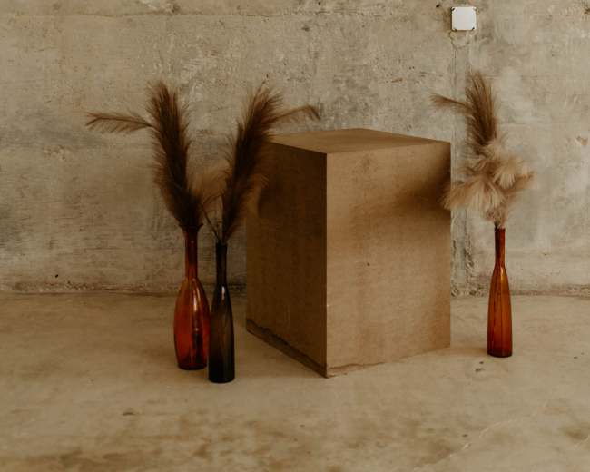 The image shows a minimalist setting with a textured concrete wall, a square cardboard box, and two vases containing decorative grasses.