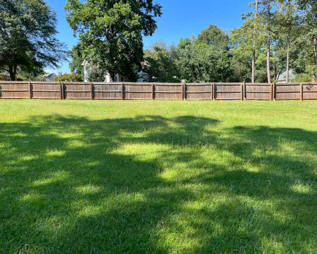 A fenced backyard with thick green grass and several trees in the background.