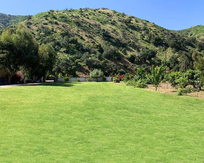 A lush green lawn extends in front of a hillside covered with vegetation.